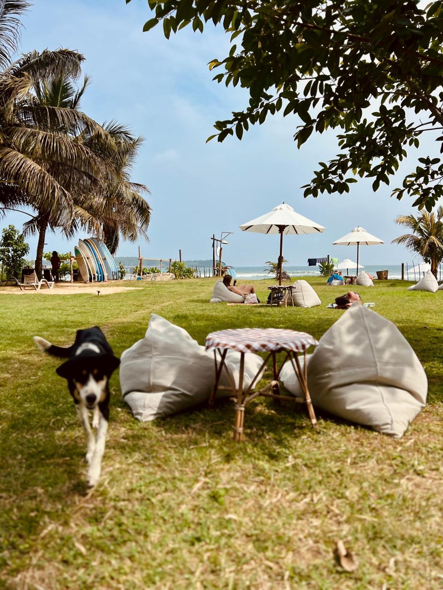 Calma - Surf, Yoga & Coffee On A Private Beach Dikwella Ngoại thất bức ảnh