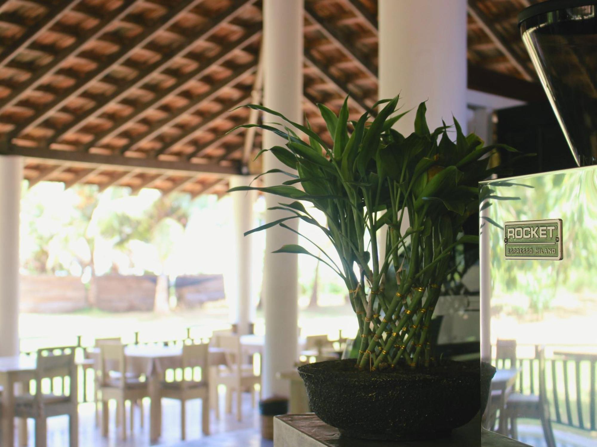 Calma - Surf, Yoga & Coffee On A Private Beach Dikwella Ngoại thất bức ảnh